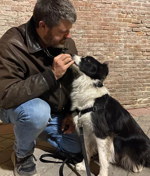 Entrenador de Perros Madrid